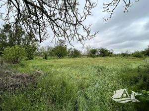 Prodej rodinného domu, Kardam, Bulharsko, 100 m2