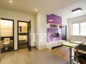 Pronájem bytu 1+1, Praha - Žižkov, Baranova, 35 m2
