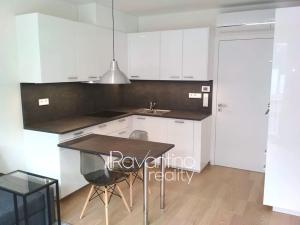 Pronájem bytu 1+kk, Brno, Studentská, 29 m2