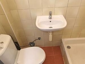 Pronájem bytu 1+kk, Cheb, Mánesova, 18 m2