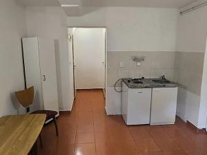Pronájem bytu 1+kk, Cheb, Mánesova, 18 m2