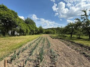 Prodej rodinného domu, Snovídky, 148 m2