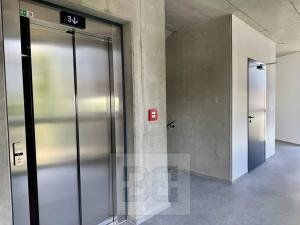 Pronájem bytu 1+kk, Znojmo, Kotkova, 35 m2