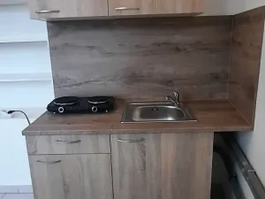 Pronájem bytu 1+kk, Šťáhlavy, Dr. Holuba, 30 m2