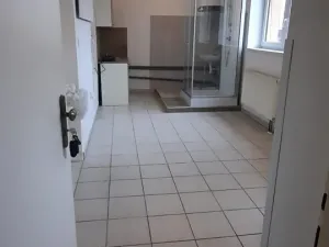 Pronájem bytu 1+kk, Šťáhlavy, Dr. Holuba, 30 m2