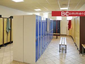 Pronájem skladu, Brno, Kulkova, 6141 m2