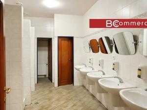 Pronájem skladu, Brno, Kulkova, 6141 m2