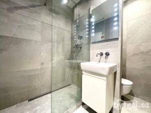Pronájem bytu 1+kk, Brno - Bohunice, Moldavská, 33 m2