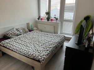 Pronájem bytu 3+1, Jeseník, Masarykovo nám., 68 m2