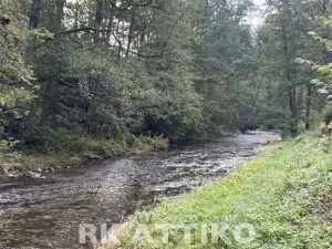 Prodej chaty, Žďárec, 85 m2