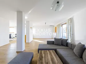 Pronájem bytu 6+kk a větší, Praha - Vokovice, Nepálská, 235 m2