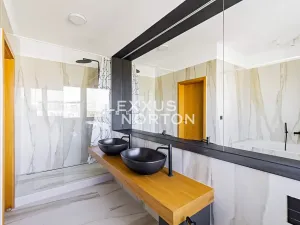 Pronájem bytu 6+kk a větší, Praha - Vokovice, Nepálská, 235 m2