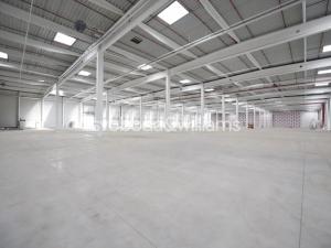 Pronájem výrobních prostor, Ostrava, Halasova, 4586 m2
