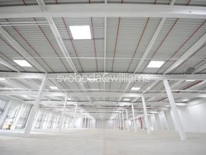 Pronájem výrobních prostor, Ostrava, Halasova, 4586 m2