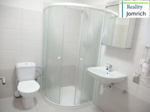 Pronájem bytu 1+kk, Liberec, 8. března, 30 m2