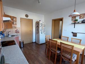 Prodej rodinného domu, Zruč-Senec - Senec, Plzeňská, 305 m2
