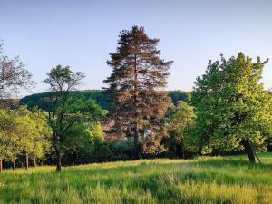 Prodej rodinného domu, Křtomil, 238 m2