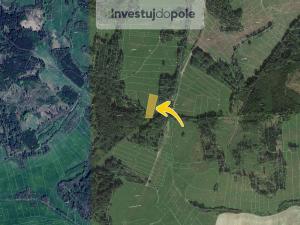 Prodej louky, Neurazy - Nová Ves u Nepomuka, 3979 m2