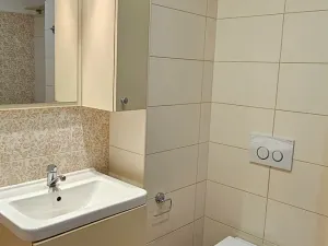 Pronájem bytu 1+kk, Velké Meziříčí, Školní, 29 m2