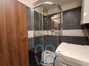 Pronájem bytu 2+kk, Plzeň, Vstupní, 65 m2