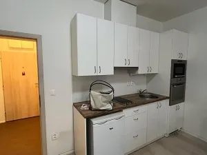 Pronájem bytu 1+kk, Brno, Přadlácká, 32 m2