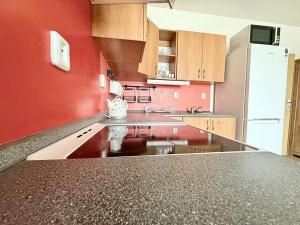 Pronájem bytu 1+kk, Plzeň, Květná, 33 m2