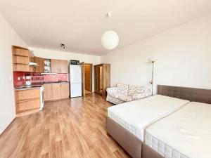 Pronájem bytu 1+kk, Plzeň, Květná, 33 m2