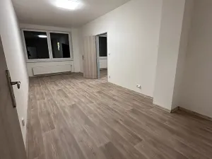 Pronájem bytu 2+1, Stehelčeves, 60 m2
