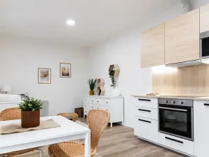 Pronájem bytu 1+kk, Brno, Boženy Němcové, 27 m2