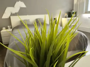Prodej bytu 3+1, Brno, Absolonova, 80 m2