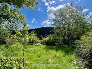 Prodej chalupy, Březiny, 350 m2