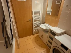 Pronájem bytu 1+kk, Brno, Říčanská, 38 m2