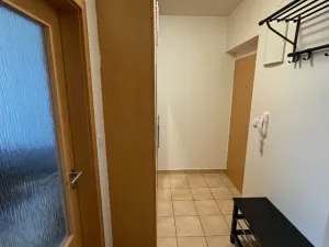 Pronájem bytu 1+kk, Brno, Říčanská, 38 m2