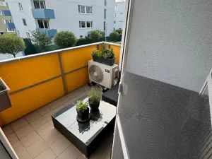 Pronájem bytu 1+kk, Brno, Říčanská, 38 m2