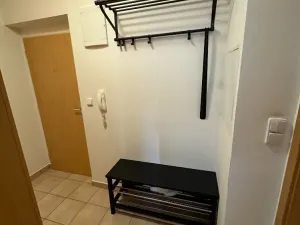 Pronájem bytu 1+kk, Brno, Říčanská, 38 m2