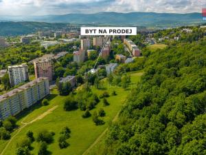Prodej bytu 3+1, Ústí nad Labem - Severní Terasa, Šumavská, 80 m2