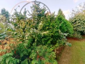 Pronájem bytu 2+kk, Průhonice, U Křížku, 42 m2