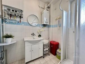 Pronájem rodinného domu, Pardubice - Bílé Předměstí, Drozdická, 133 m2