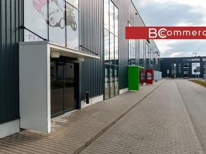 Pronájem obchodního prostoru, Brno, 496 m2