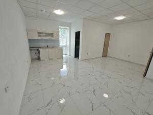 Pronájem bytu 1+kk, Teplice, U Červeného kostela, 40 m2