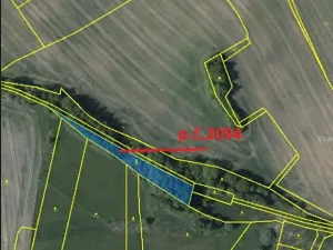 Prodej lesa, Vyskytná, 2191 m2