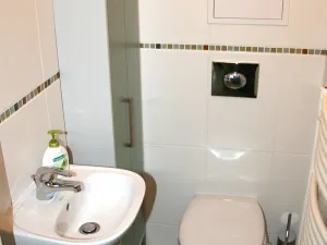 Pronájem bytu 3+1, Praha - Záběhlice, Hyacintová, 89 m2