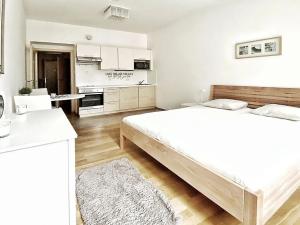 Pronájem bytu 1+kk, Praha - Košíře, Plzeňská, 38 m2