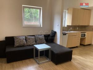 Pronájem bytu 2+kk, Ves Touškov, 45 m2
