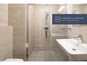 Pronájem bytu 1+kk, Brno, Chaloupkova, 22 m2