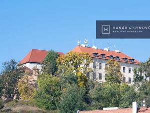 Pronájem bytu 1+1, Brno, Anenská, 41 m2