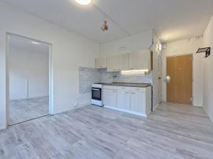 Pronájem bytu 1+1, Kadaň, Na Podlesí, 35 m2