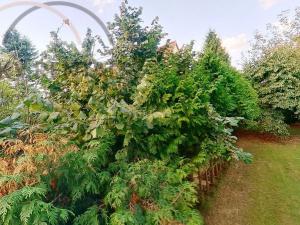 Pronájem bytu 2+kk, Průhonice, U Křížku, 42 m2