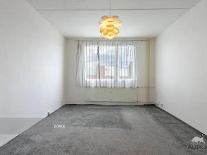 Prodej bytu 1+1, Plzeň, Gerská, 39 m2
