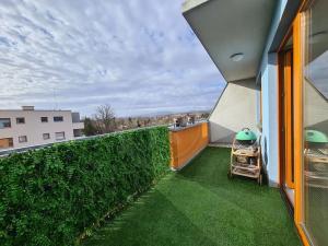 Pronájem bytu 2+kk, České Budějovice, U Lučního jezu, 47 m2